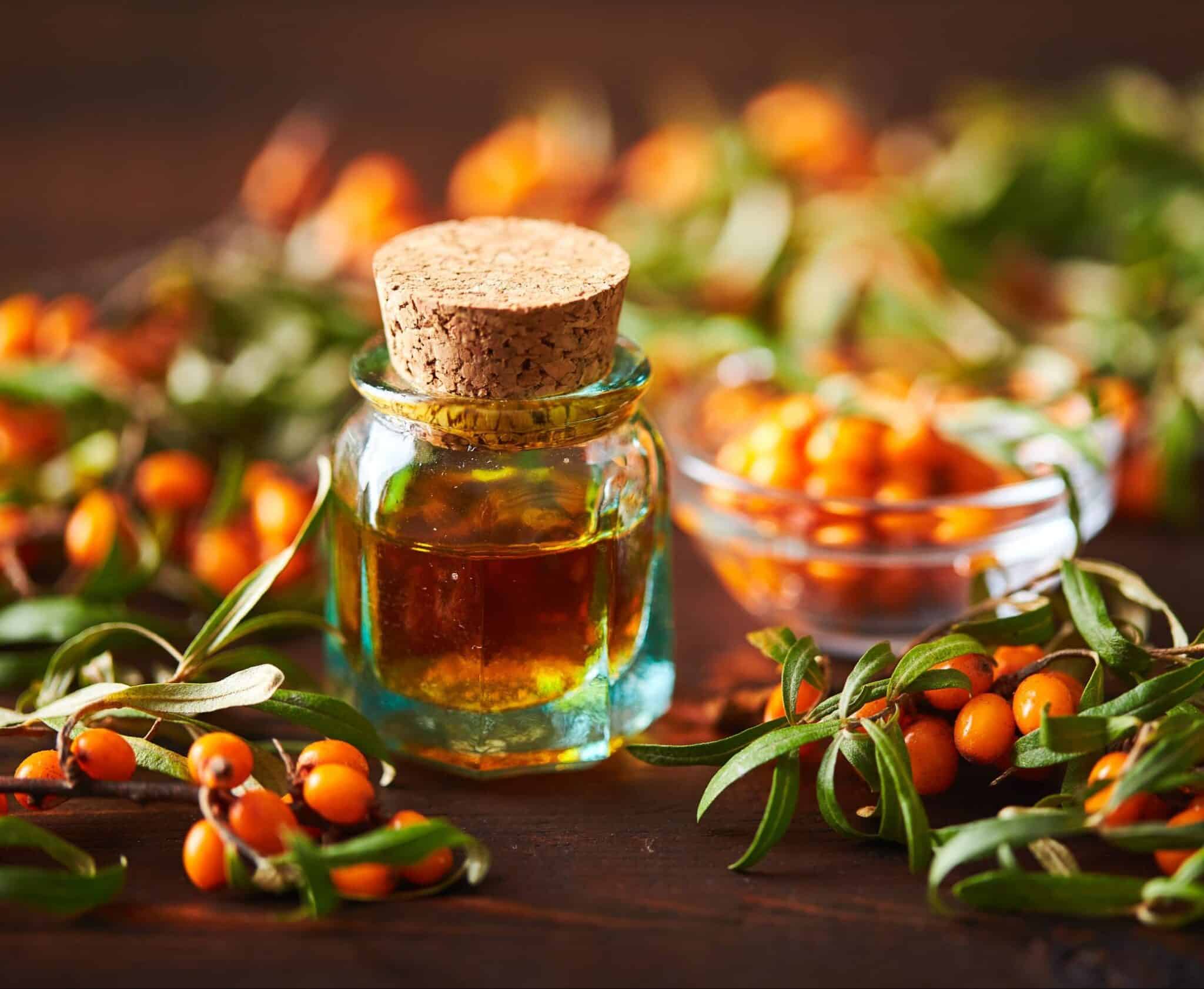 Glass bottle with sea buckthorn oil berries and sea buckthorn branches on wooden background.